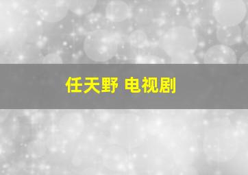 任天野 电视剧